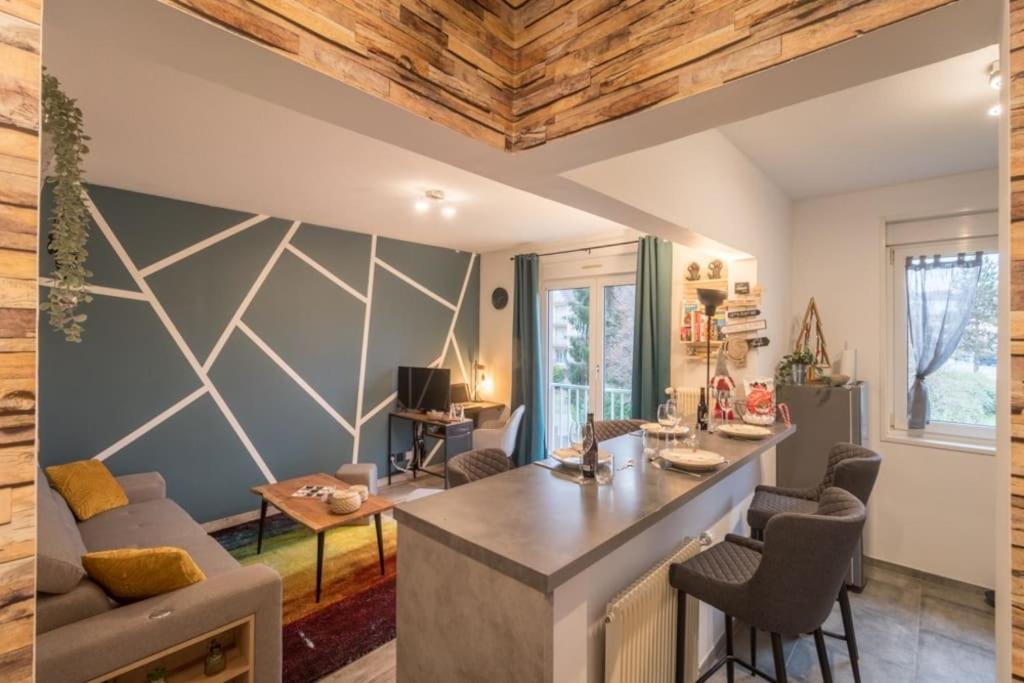 Appartement Le Saver'Zaru, Centre Ville, T2 55M² Saverne Bagian luar foto