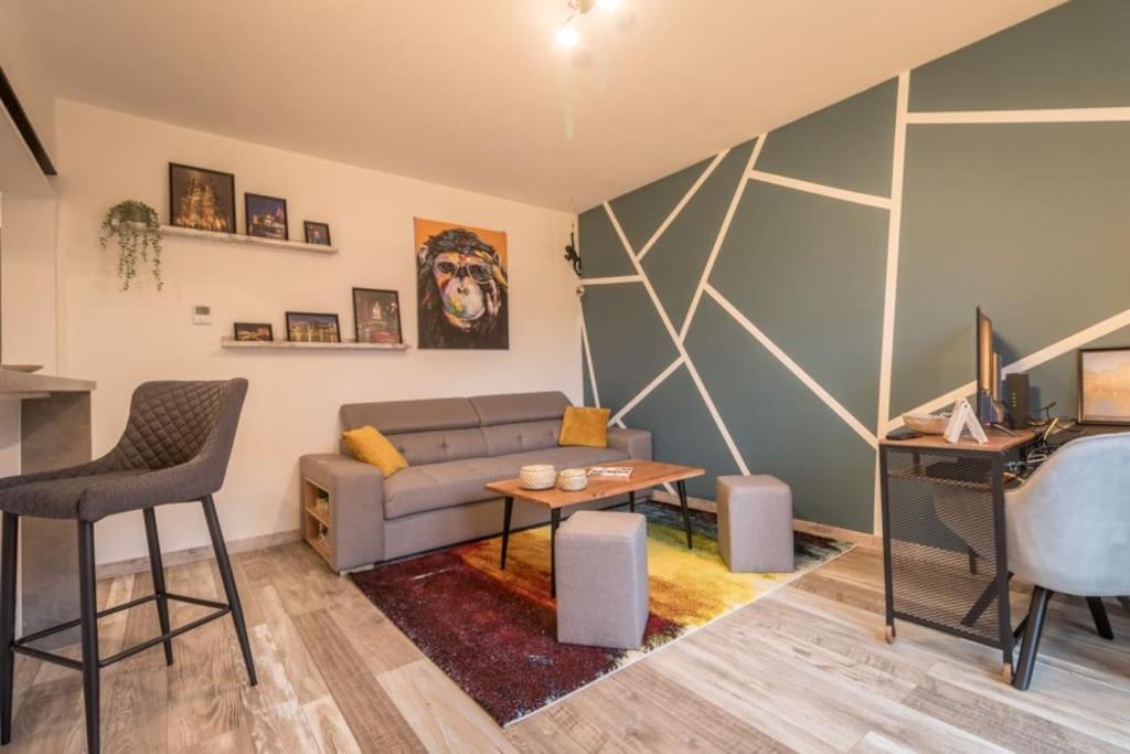Appartement Le Saver'Zaru, Centre Ville, T2 55M² Saverne Bagian luar foto