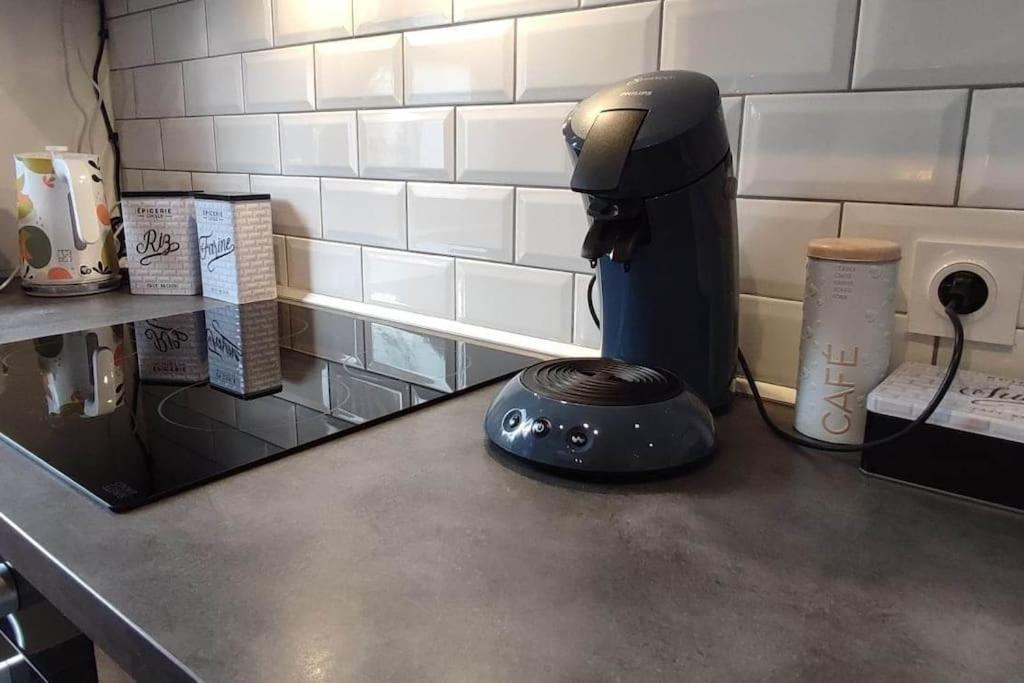 Appartement Le Saver'Zaru, Centre Ville, T2 55M² Saverne Bagian luar foto